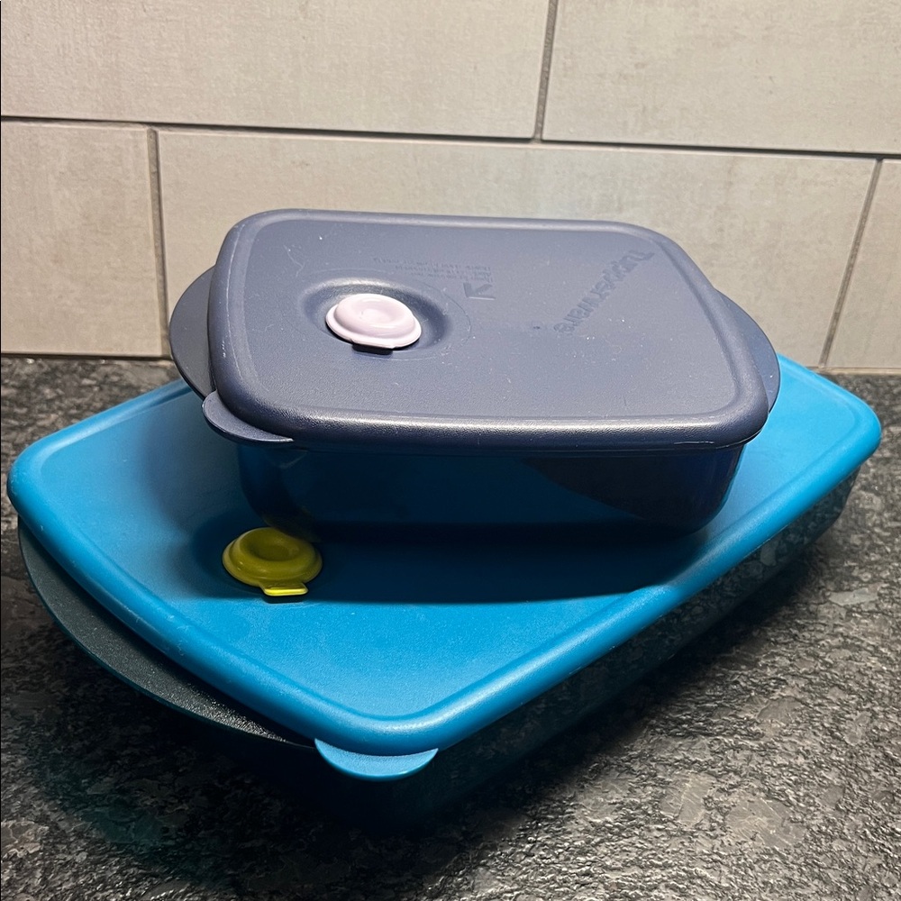 Set of 2 Crystal Wave Vent N Serve microwave vented containers